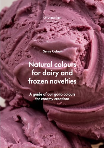 ice cream guide cover